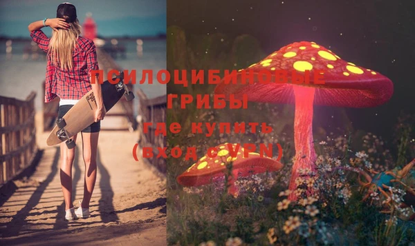 индика Михайлов