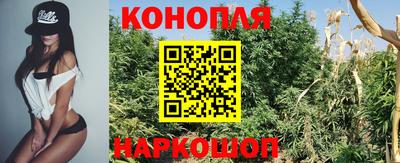 герыч Бийск