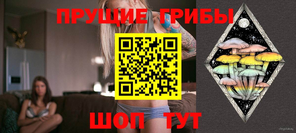 купить наркотики цена  Канаш  Псилоцибиновые грибы Psilocybine cubensis 