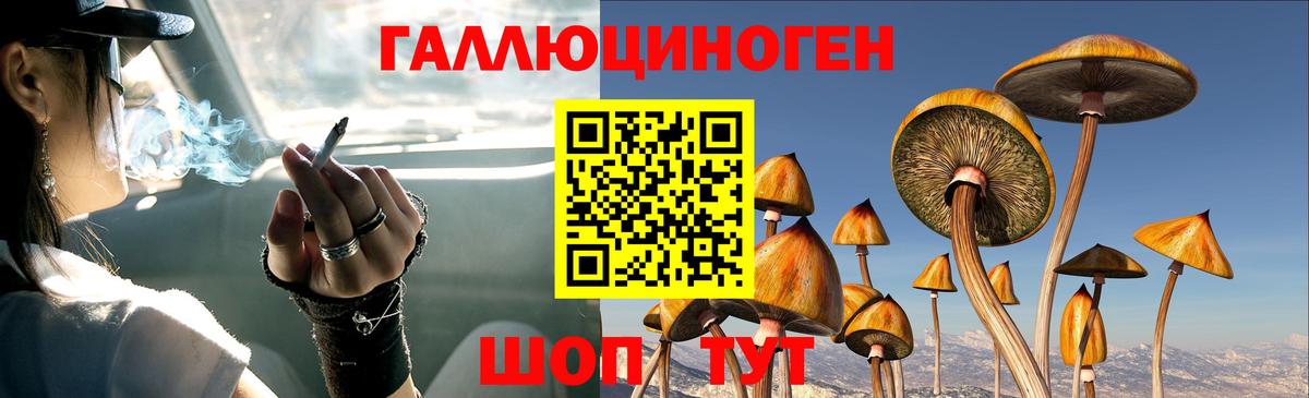 Галлюциногенные грибы MAGIC MUSHROOMS Канаш