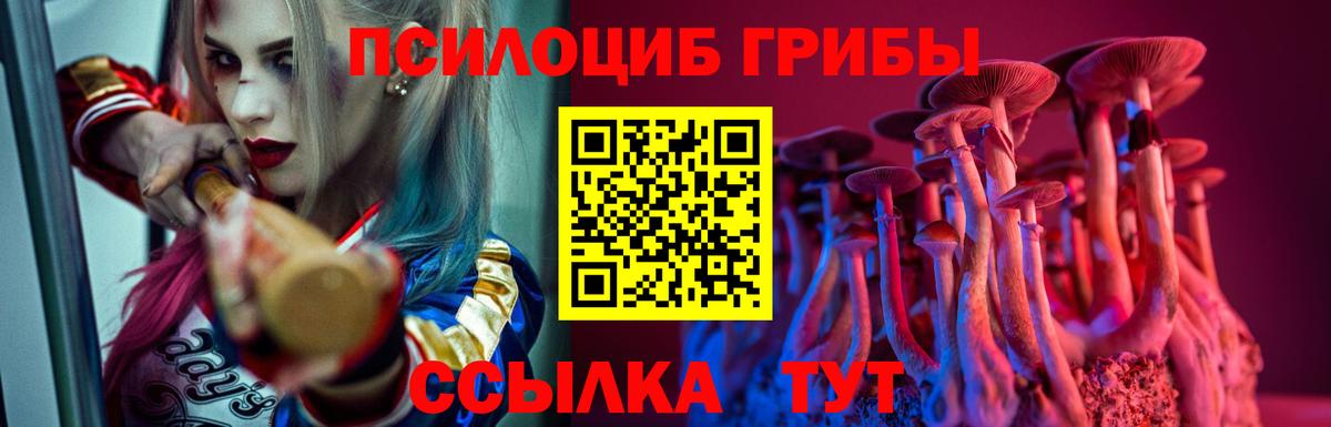 Псилоцибиновые грибы Psilocybe Канаш