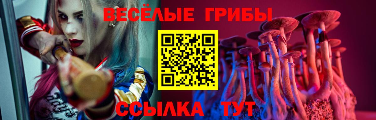 Галлюциногенные грибы мухоморы Канаш