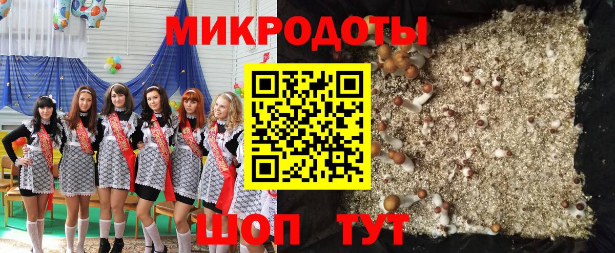 Канаш  Галлюциногенные грибы Psilocybine cubensis  Вход с VPN 