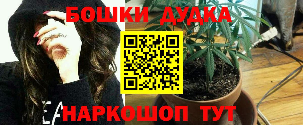 Шишки марихуана OG Kush Канаш